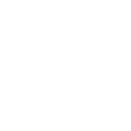 E-Bikes