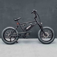 E-Bikes